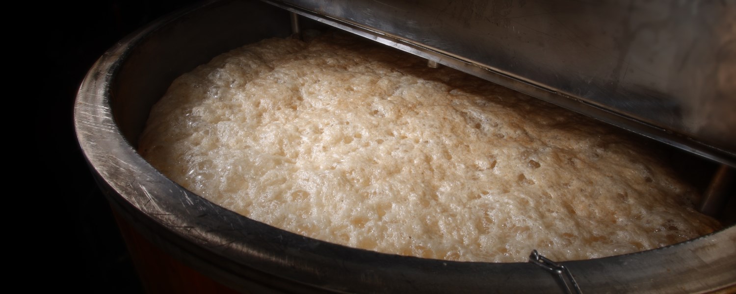 Fermentation - Yeast