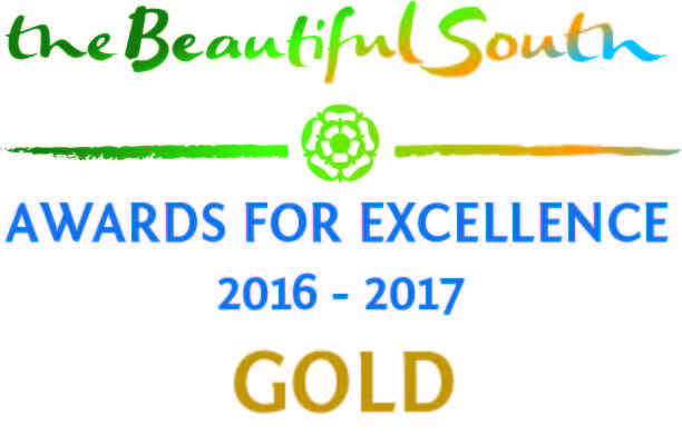 Beautiful South Awards Logo Gold 2016 - 2017