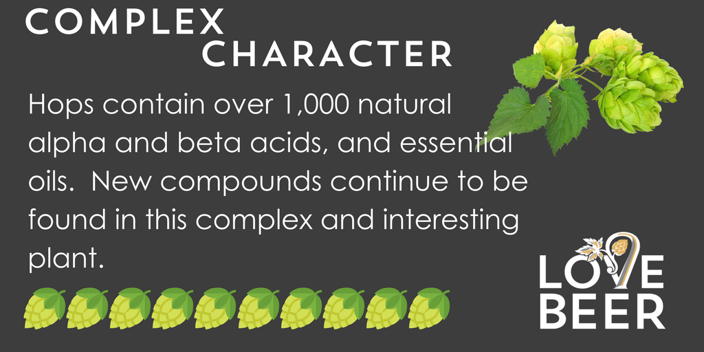 Love Beer - hops infographic