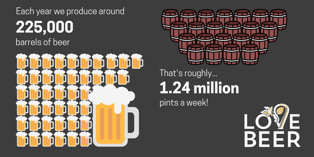 Love Beer Infographic