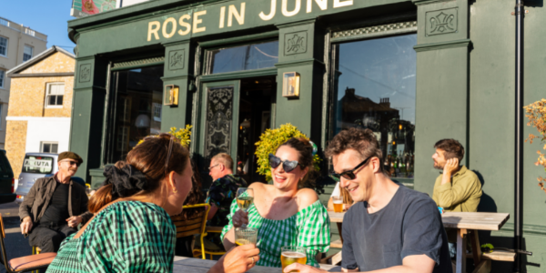 Rose in June