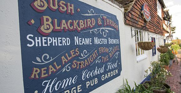Bush, Blackbird and Thrush, East Peckham